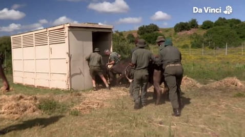 1. Пошук великої сімки. Частина 1: Едемський сад