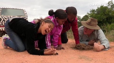 2. Пошук великої сімки. Частина 2: Великі
