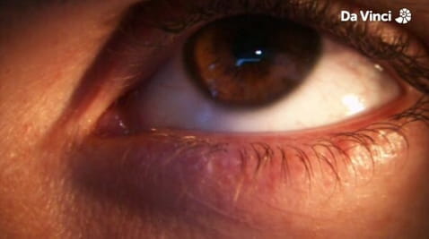 3. The Inside Story of Eyes and Fat