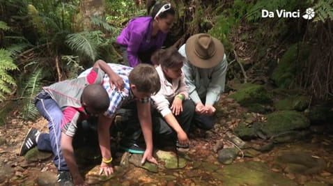 5. До кінця річки