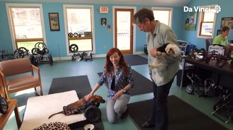 17. Сховище насіння судного дня