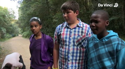 6. Зачарований ліс