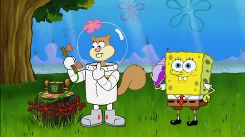 Spongebob Squarepants (1999) - 8 season 13 seriya