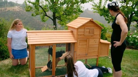 4. The Fresh Eggs of Bel Air