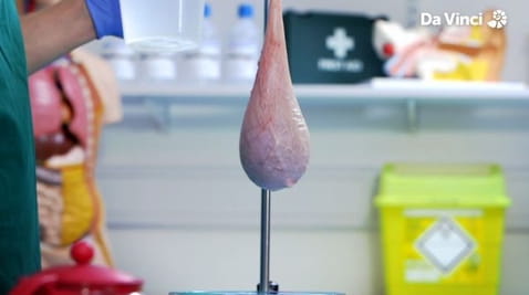 5. Emptying Your Bladder