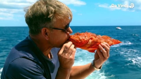 8. The Italian Festival Part 2