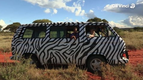 16. Ноїв ковчег