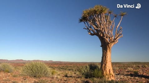 22. Місце великого шуму