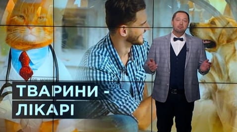 14. Тайны мира. Животные-врачи