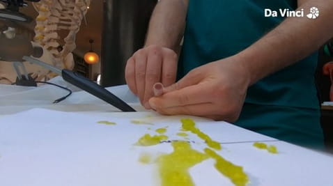 4. Слизь