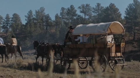 Gone to Texas