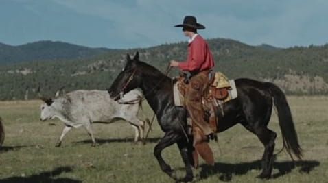 Wild West