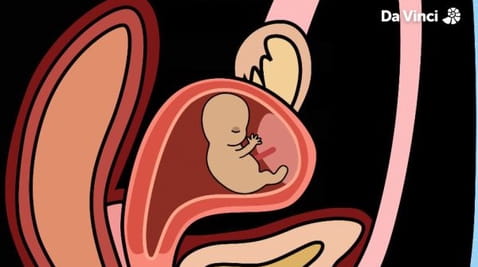 1. We’re Having a Baby