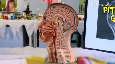 10. All Hail King Xand!