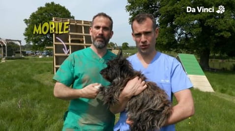 7. Flexible Arms and Triple Jumping!