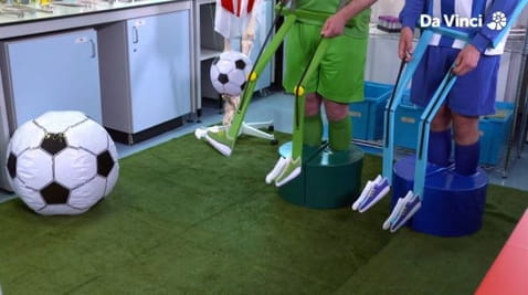 8. Knobbly Knees and What They Are For