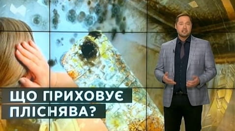5. Тайны мира. Что скрывает плесень?