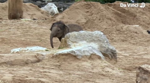 8. How to Train a Brain!