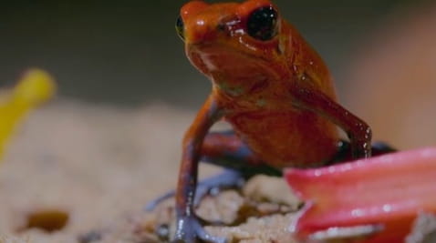 Працюючі мами