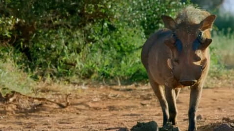 Час достатку