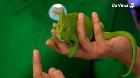 2. Eyeball Extravaganza!