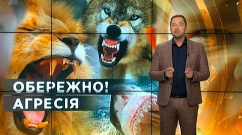 4. Тайны мира. Осторожно! Агрессия