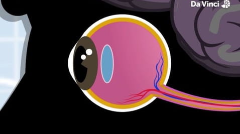 2. How Can You See in the Dark?