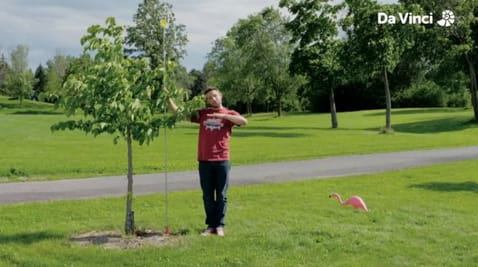 5. Nullist kangelaseks