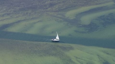 Europe's Wilderness ( 2020 ) – 1 season 2 episode