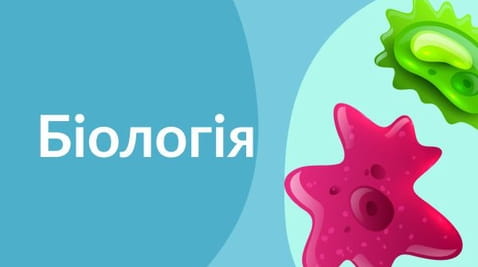 10th grade (2020) - 15.05.2020 biology
