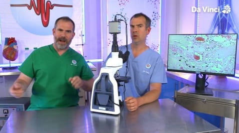 11. Blood Super-Highway