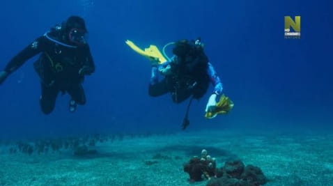 Еволюція (2021) - 1 сезон