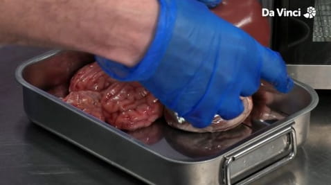 7. You're Mostly Made of Water!