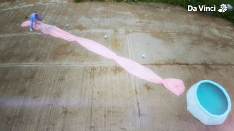 12. Battle of the Blood Cells