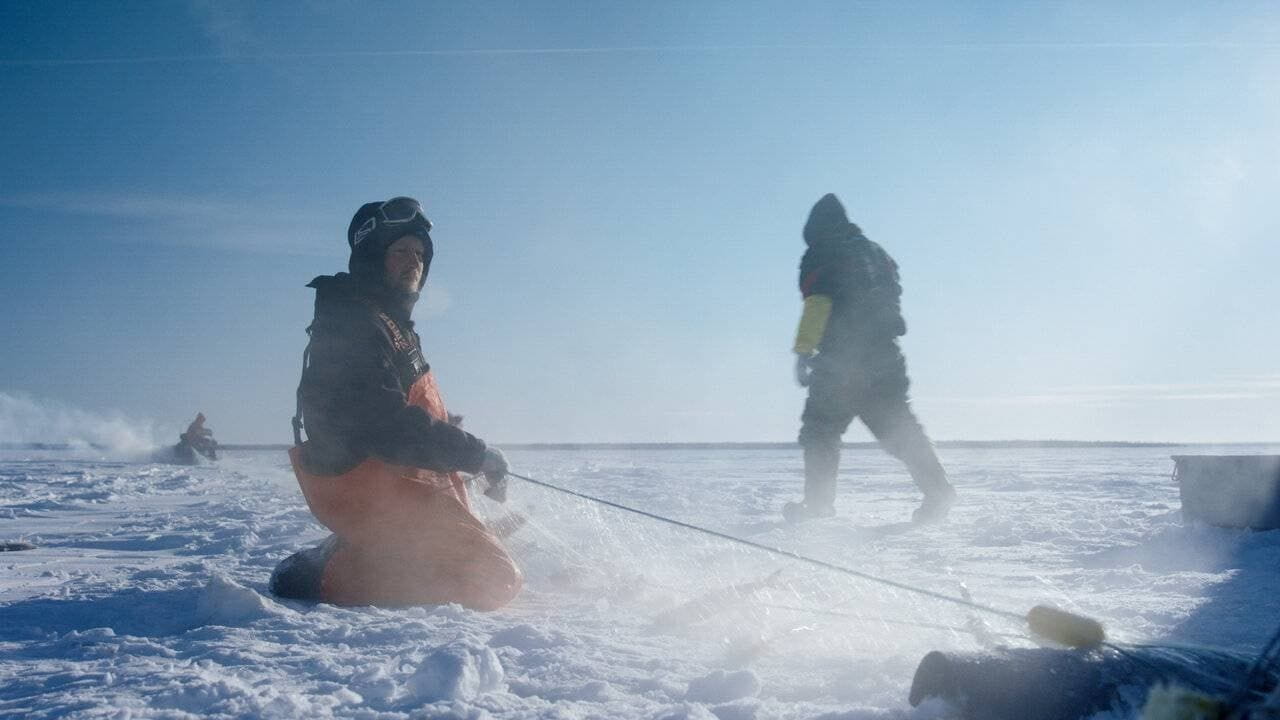 Ice Vikings ( 2021 )