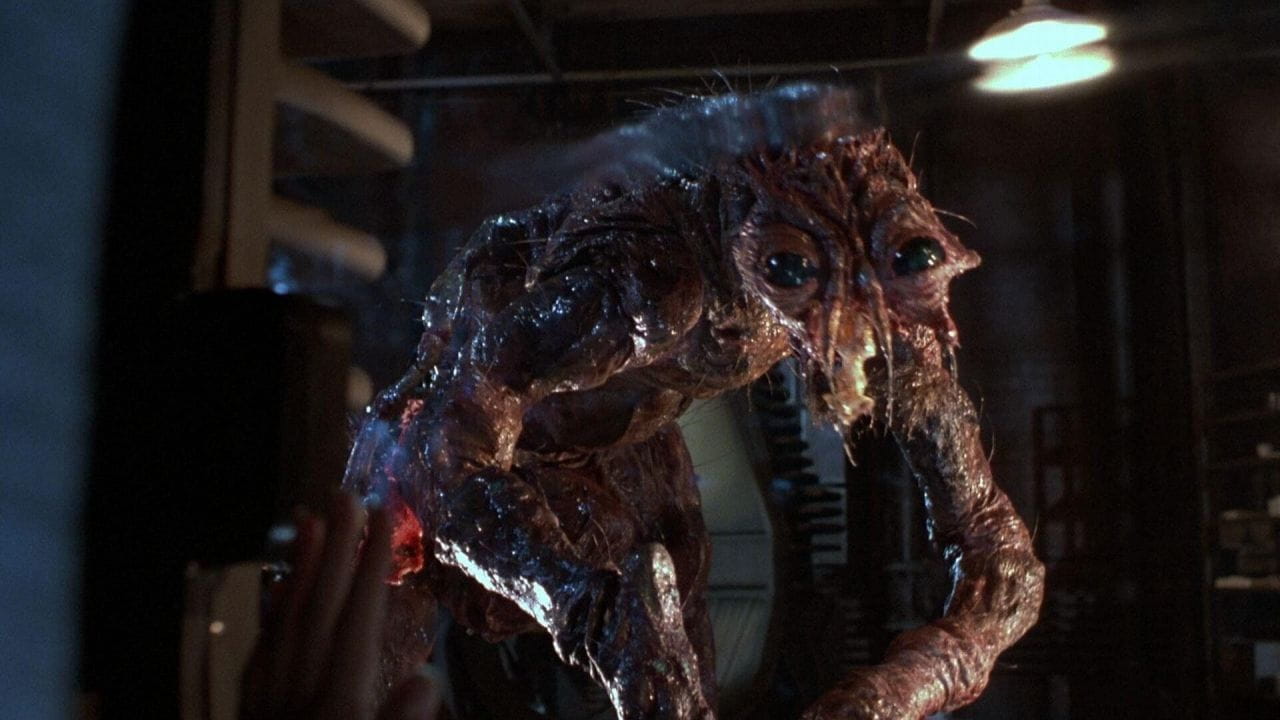 Trailer The Fly