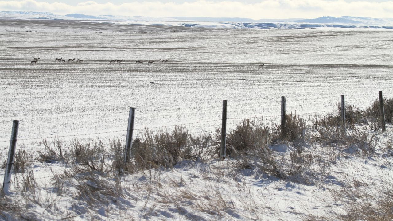 America's Wild Border: Northern Exposure