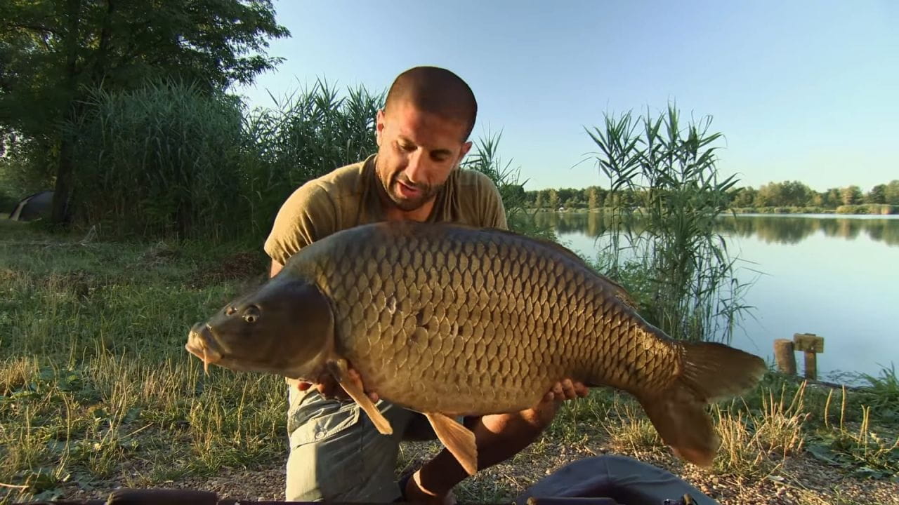 Monster Carp (2016) - season 6