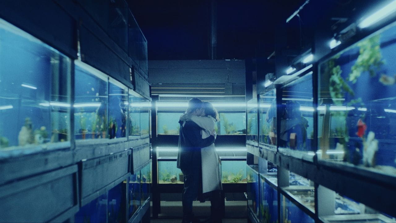 Trailer Little Fish