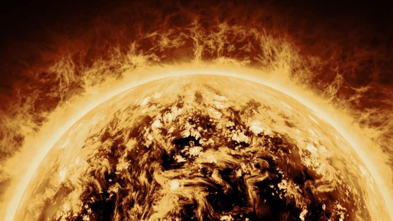 One Planet +. Reach for the Stars (2021)