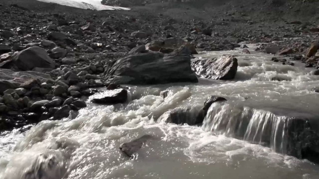 One Planet +. У пошуках знань (2021)
