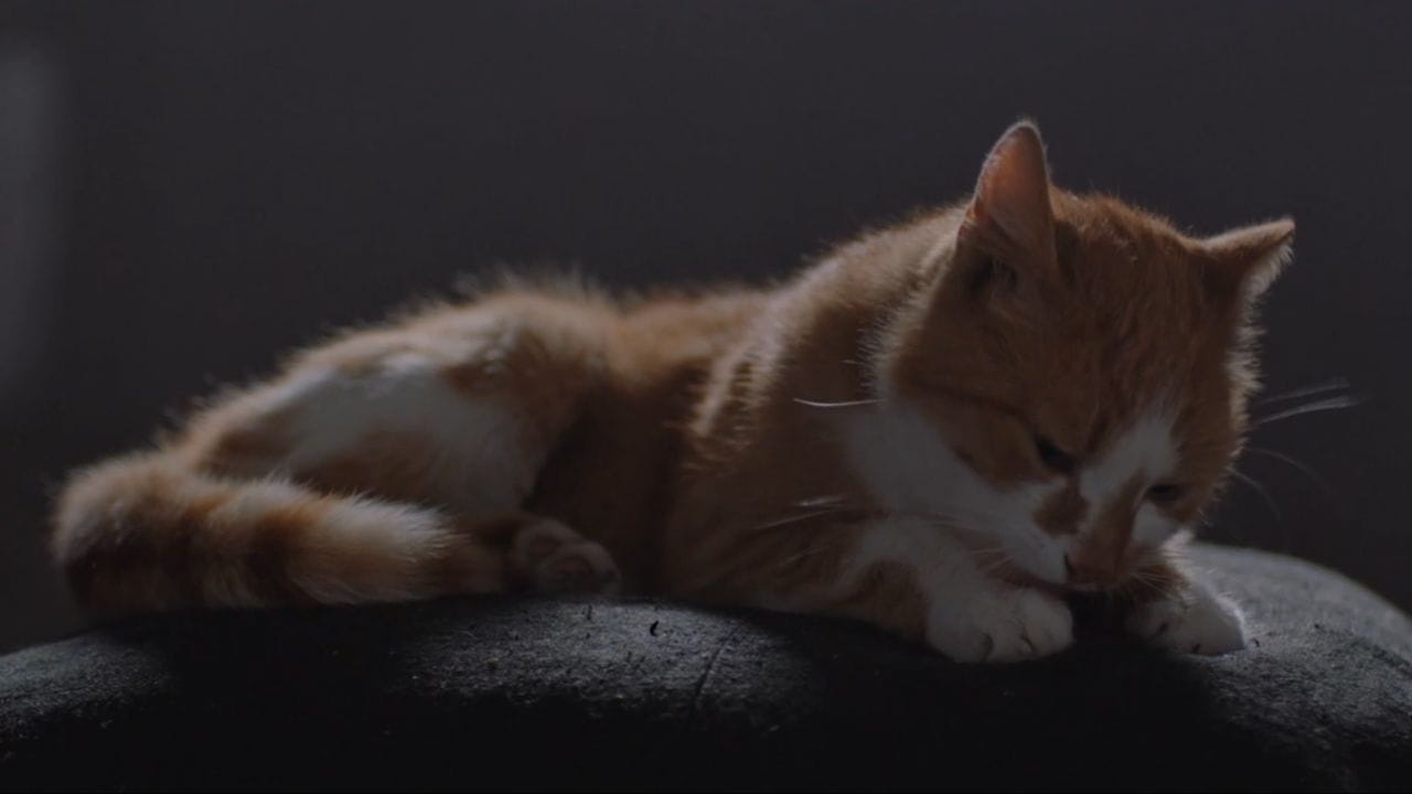 Трейлер Мир вашому дому!