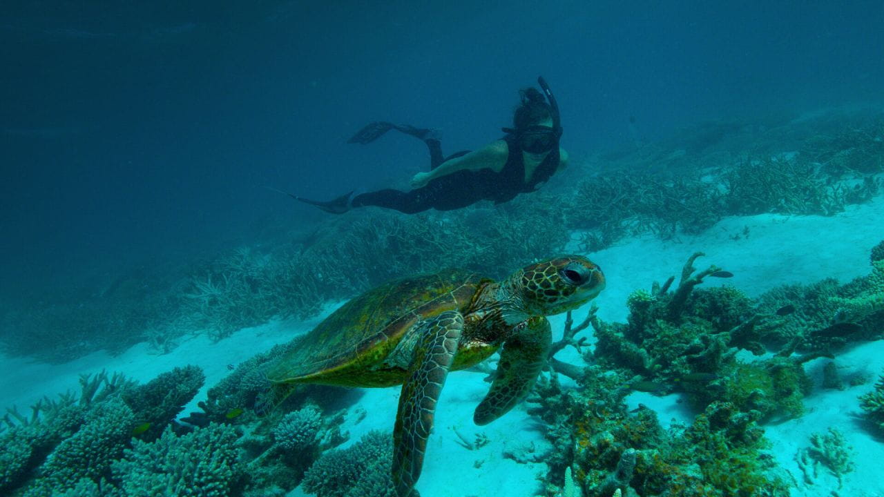 Deep Dive Australia