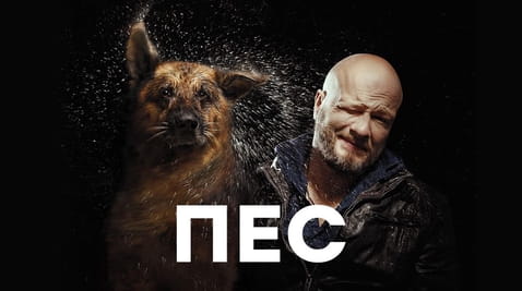 Смотреть Пес онлайн
