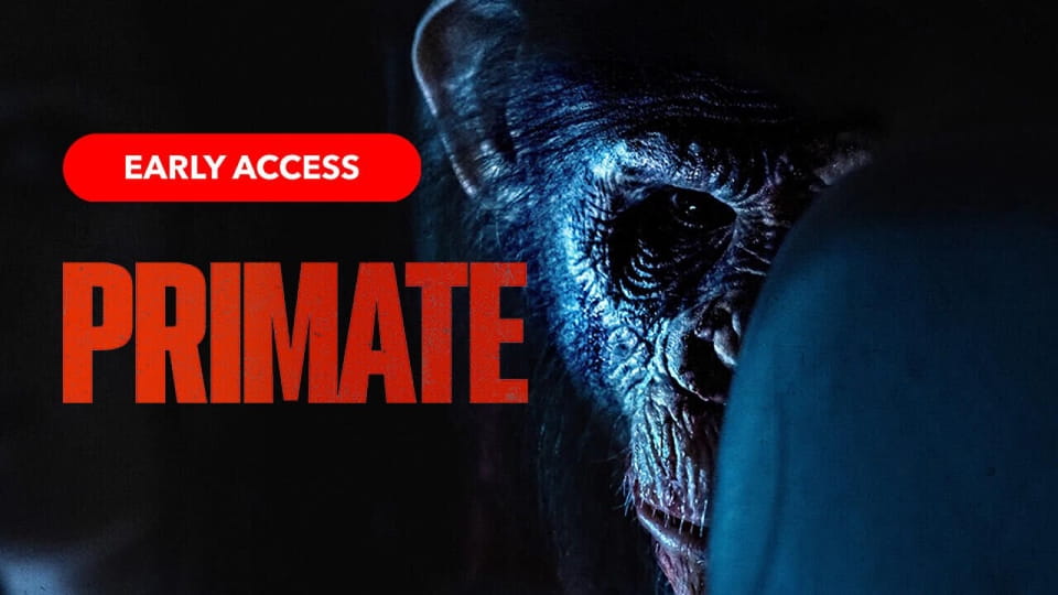 Მისაბმელი Primate