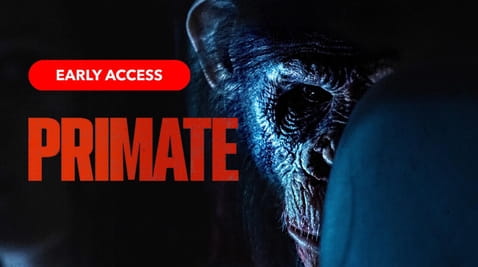 Katso Primate verkossa