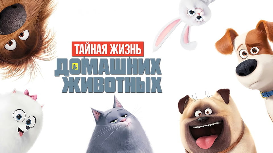 Трейлер Тайная жизнь домашних животных