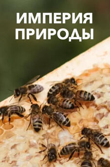 Смотреть Империя природы онлайн