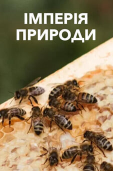 Дивитися Імперія природи онлайн