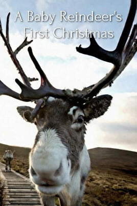 A Baby Reindeers First Christmas çevrimiçi izle